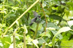 20140614_Gunago-Lodge_0755