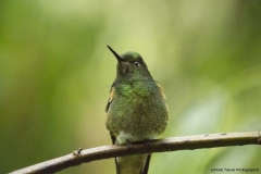 20140614_Gunago-Lodge_0798
