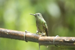 20140615_Guango-3_0010