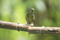 20140615_Guango-3_0012