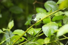 20140615_Guango-3_0023