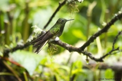 20140615_Guango-3_0032