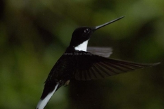 20140615_Guango-3_0039