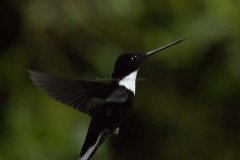 20140615_Guango-3_0040