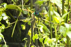 20140615_Guango-3_0047