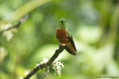 20140615_Guango-3_0057