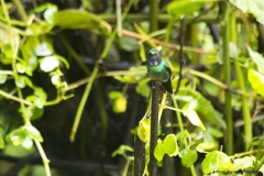 20140615_Guango-3_0063