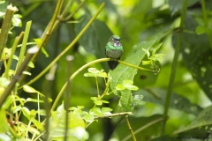20140615_Guango-3_0085