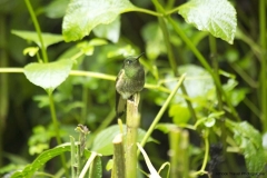20140615_Guango-3_0098