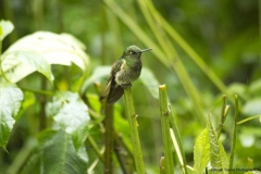 20140615_Guango-3_0116