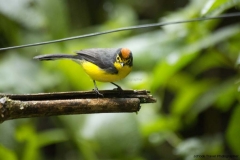 20140615_Guango-3_0127