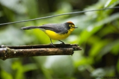 20140615_Guango-3_0128