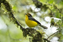 20140615_Guango-3_0138
