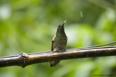 20140615_Guango-3_0145