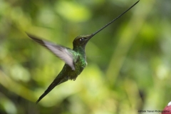 20140615_Guango-3_0158