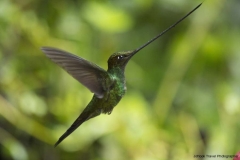 20140615_Guango-3_0159