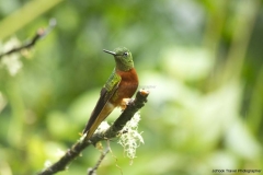 20140615_Guango-3_0200