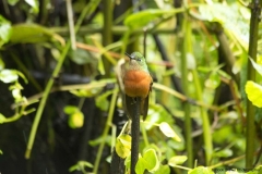 20140615_Guango-3_0226