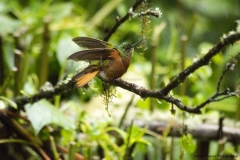 20140615_Gunago-Lodge_0055