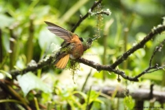20140615_Gunago-Lodge_0056