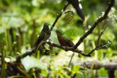 20140615_Gunago-Lodge_0073