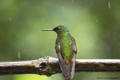 20140615_Gunago-Lodge_0088