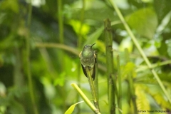 20140615_Gunago-Lodge_0097