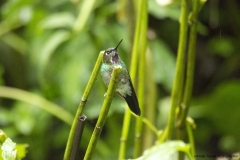 20140615_Gunago-Lodge_0101