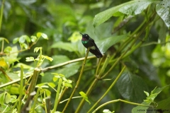 20140615_Gunago-Lodge_0110