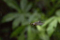 20140615_Gunago-Lodge_0145