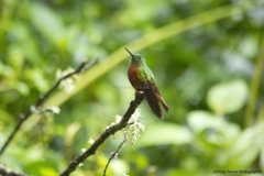 20140615_Gunago-Lodge_0157