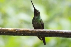 20140615_Gunago-Lodge_0208