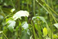 20140615_Gunago-Lodge_0223