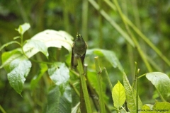 20140615_Gunago-Lodge_0229