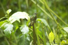 20140615_Gunago-Lodge_0274