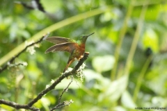 20140615_Gunago-Lodge_0353