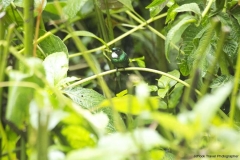 20140615_Gunago-Lodge_0361