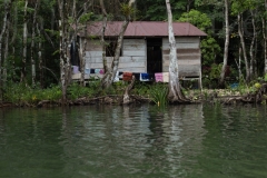 thumb_14441444_1024