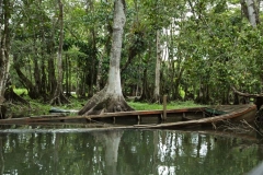 thumb_20161024_Rio Dulce 2_0041_1024
