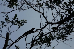 thumb_20161024_lake Izabel_0088_1024