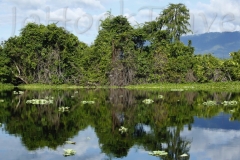 thumb_20161024_lake Izabel_0215_1024