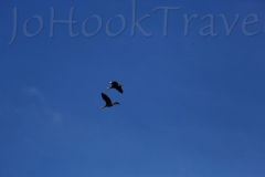 thumb_20161024_lake Izabel_0276_1024