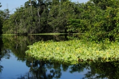 thumb_20161024_lake Izabel_0318_1024
