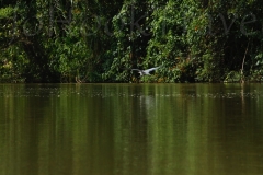 thumb_20161024_lake Izabel_0357_1024