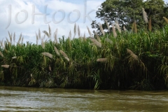 thumb_20161024_lake Izabel_0361_1024
