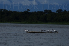 thumb_20161024_lake Izabel_0364_1024