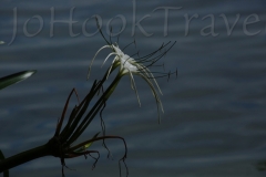 thumb_20161024_lake Izabel_0368_1024