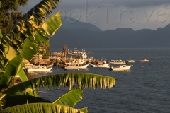 thumb_436436_1024