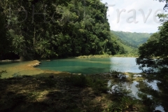 thumb_575575_1024