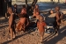 namibia8 123.jpg